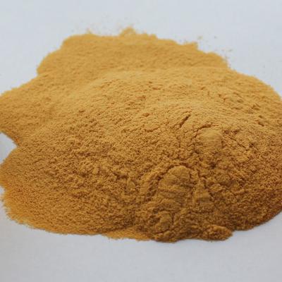 HVP Hydrolyzed Vegetable Protein Powder Soy Protein 100209-45-8