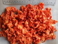 Cor alaranjada a cenoura secada lasca o armazenamento fresco seco do lugar 10 * 10 * 3mm HALAL