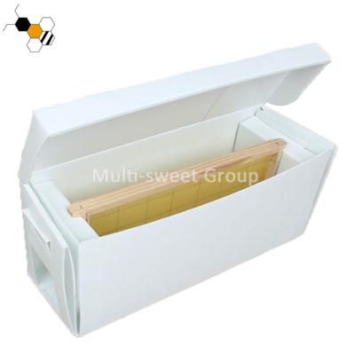 5 caixa plástica corrugada de Langstroth Nuc da caixa de Nuc dos quadros 465*208*268mm