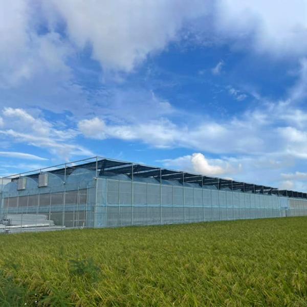 Anúncio publicitário agrícola da multi estufa automática do filme plástico do período industrial