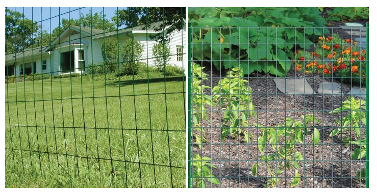Ячеистая сеть крена квадрата 1x15m загородки Aviary сваренная Ss