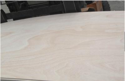 Okoume plywood, birch plywod, pine plywood, bintangor plywood,keruing plywood, all kinds of commercial plywood