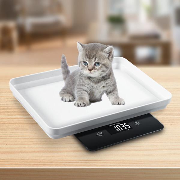 Balance de sol pour petits animaux de compagnie 5 kg 1 g avec écran LCD Balance électronique numérique portable pour animaux de compagnie, chatons et animaux
