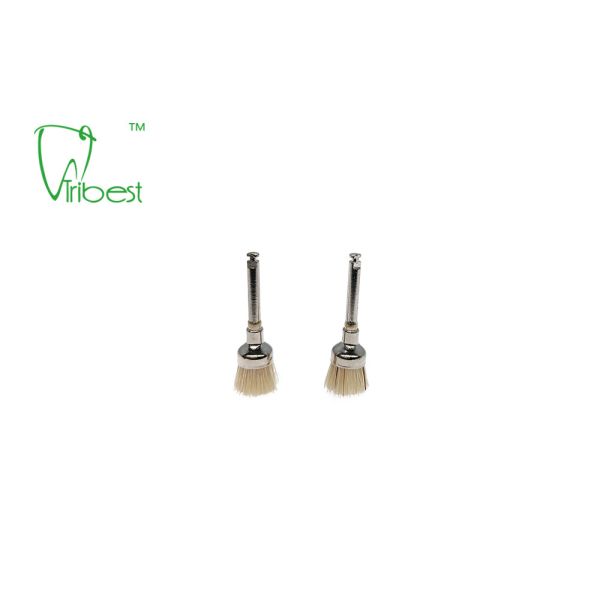 White Bristle Brush Dental Polishing Kit Teeth Polishing Brush