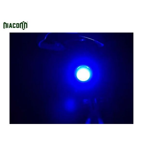 Blue / White Light USB Bike Tail Light With Rechargeable 650mah Battery