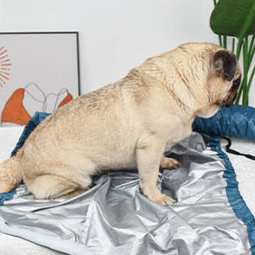 Pet drying bag blow Quick Drying Dog Drying Robe Hair Blowing Tool Quick Automatic Drying Hair Dryer