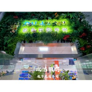 Shenzhen Oujie Lighting Technology Co., Ltd.