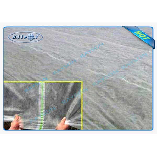 Anti UV PP Spunbond Non Woven Landscape Fabric For Agriculture Plant Cover
