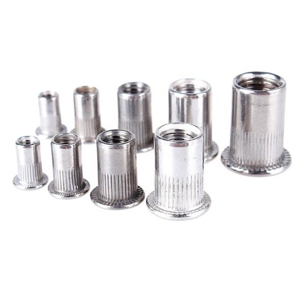 Metric M3 M4 M5 M6 M8 M10 M12 Zinc and Wax Stainless Steel 304 316 Knurled Round Flat Head Blind Rivet Nut for Products