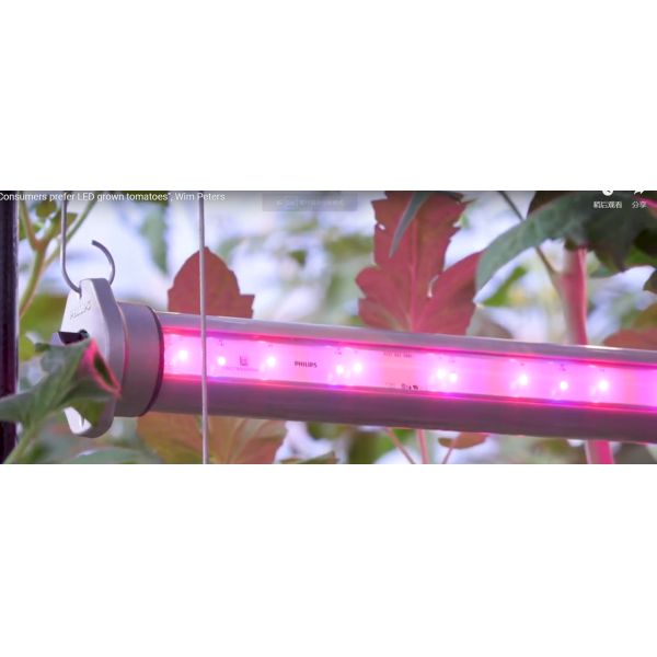 24W 160lm/W Waterproof LED Grow Light Epistar Grow Lamps For Indoor Plants