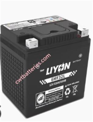 Liyon 6MF32L 12V 32Ah Atv Battery AGM Gel Battery New Original