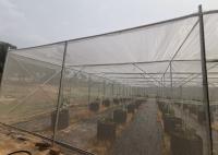 Strong Frame Metal Frame Greenhouse For Potted Flower Cultivation