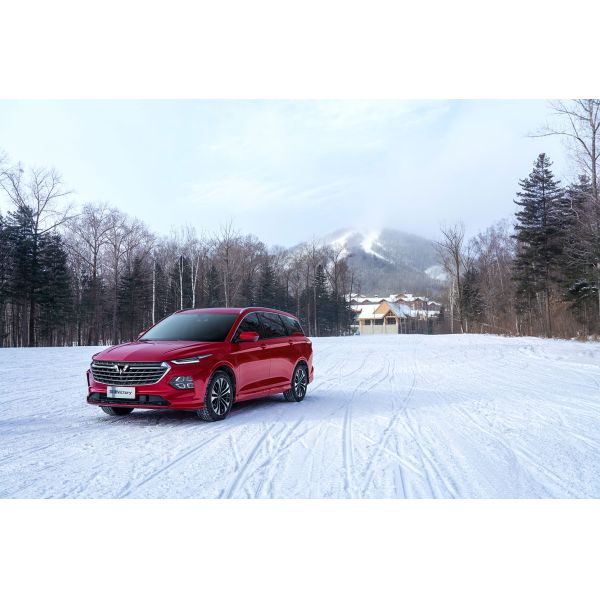 Energy Features Wuling Capgemini 5-Door Chinese Car with Large Business Space in Purple