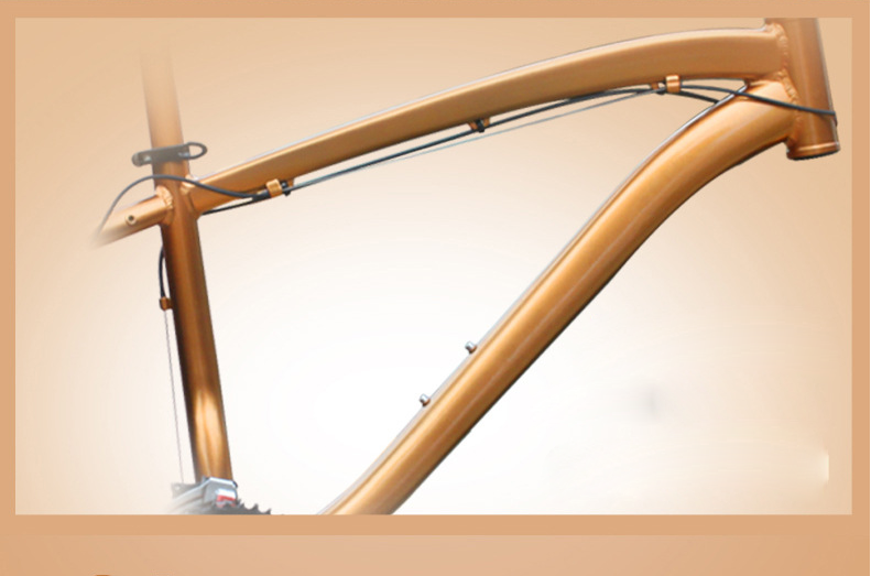 Load 150kg 30 Speed 26 Inch Wheel Fat Tire Sand Bike