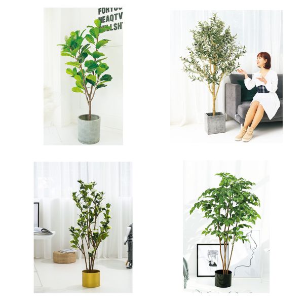  Decoration Aesthetic Easy To Care Artificial Ficus Tree 1.6m