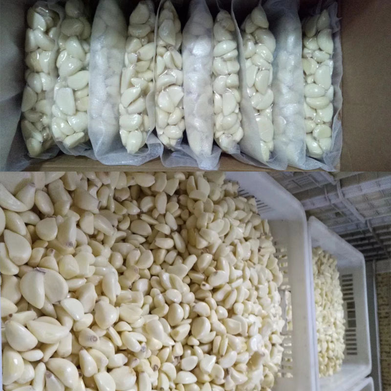 Onion And Garlic Peeling Machine Electric Garlic Peeling Machine Pnuematic Garlic Peel Machine