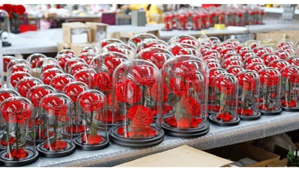 Forever Real Rose Everlasting Flower Preserved Fresh Flower Live Enchanted Rose in Glass Dome Cover with Gift Box