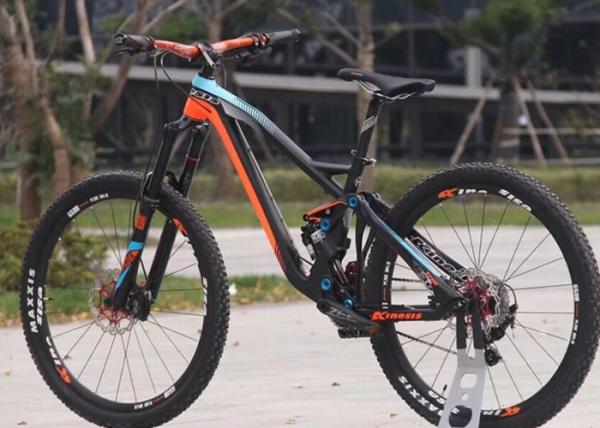 Lightweight Downhill Bike Frame , Freeride / Enduro Mtb Frame With Custom Logo