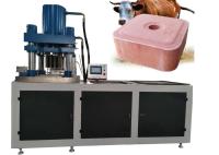 200 Ton Salt Gems Press Machine, máquina hidráulica da imprensa da tabuleta/máquina da imprensa bloco de sal para o sal animal lambem