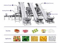 máquina de embalagem do fruto 500g com o pesador principal de 14 Multihead