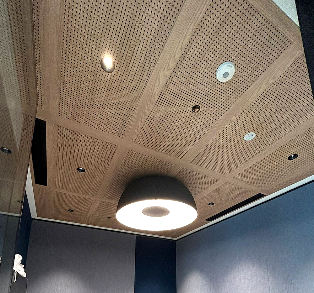 Office Sound Absorption Wall Panel 16/16/6mm Perforated Acoustic Board