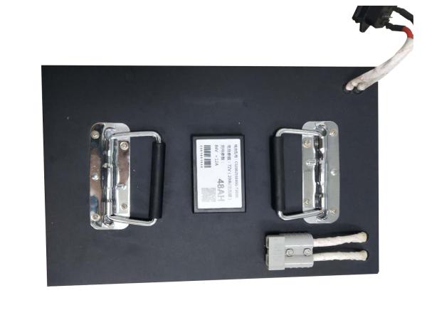 Portable Electric Bicycle Battery 12v 24v 36v 10ah 48v 1000w Lithium Ion  67x156x446mm