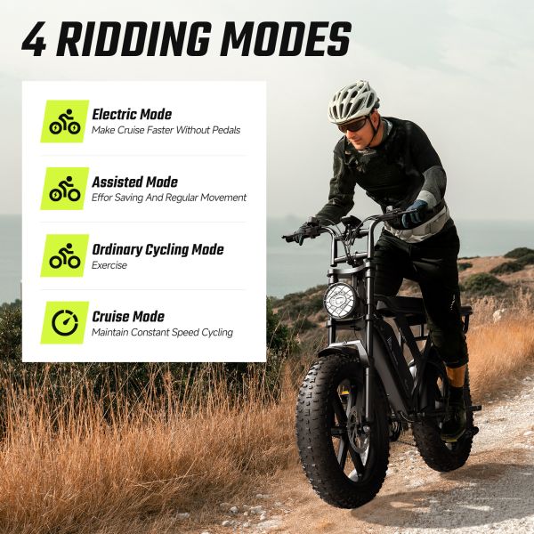 Adult Fat Tire Electric Folding Bike 1000W Suspension 48V Woman Electric Bicycle EU Warehouse Foldable City Use E Bike Fat Bike