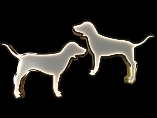 Stainless Steel / Acrylic Visual Merchandising Displays Golden for Retail Store