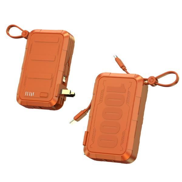 Smart Multi-Compatible Fast Charging Power Bank 10000mAh by LANY Portable with AC