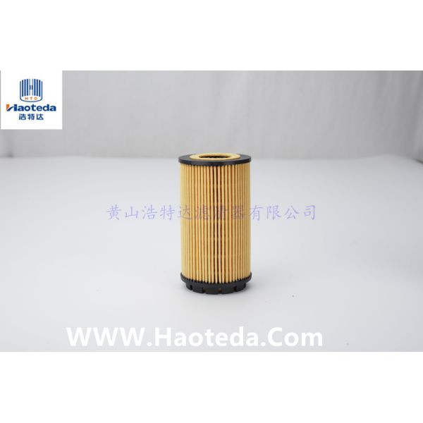 Haoteda CH9685 Cartridge Oil Filter Warranty 10000KMS For Liquid