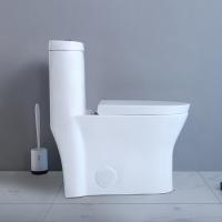 Cuvette ovale d'une seule pièce de toilette de norme américaine de rond de Siphonic double