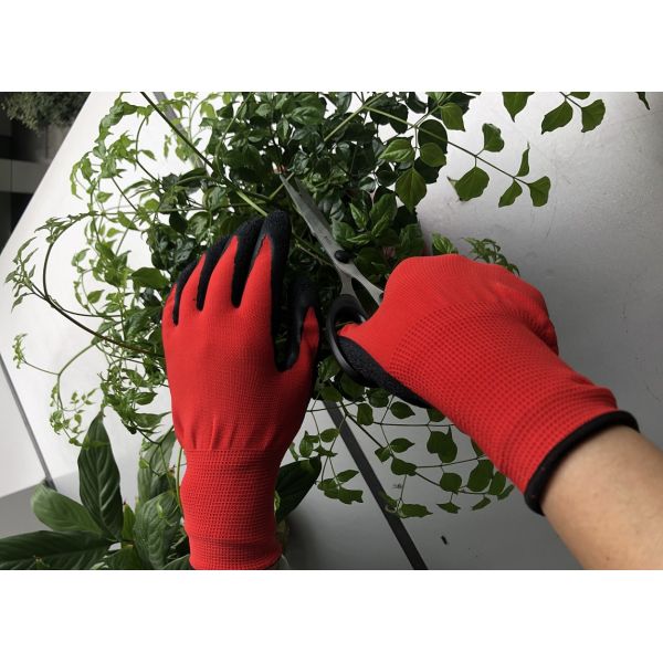 El nilón Spandex de 15 indicadores hace punto guantes protectores del látex del XL que llevan que cultivan un huerto