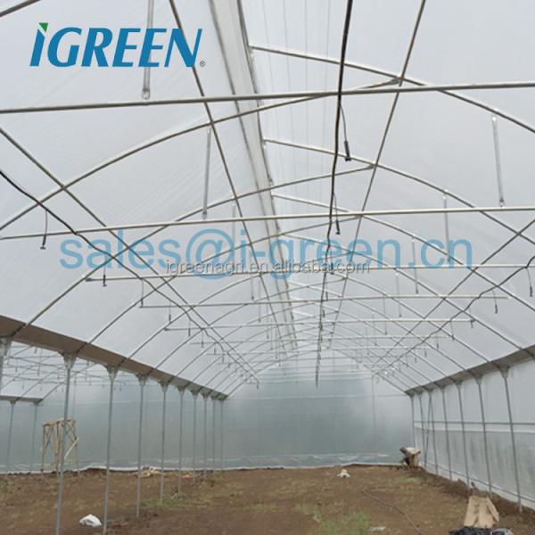 Climate Controlled Agricultural Greenhouse Hot Dipped Galvanized Steel Greenhouse