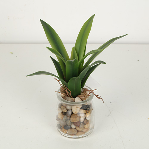 Mini Artificial Agave Bonsai With Glass Pot