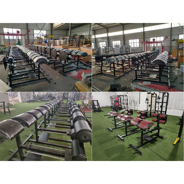 Складчивый GHD Bench Glute Ham Developer для взрослого оборудования для обучения источнику питания