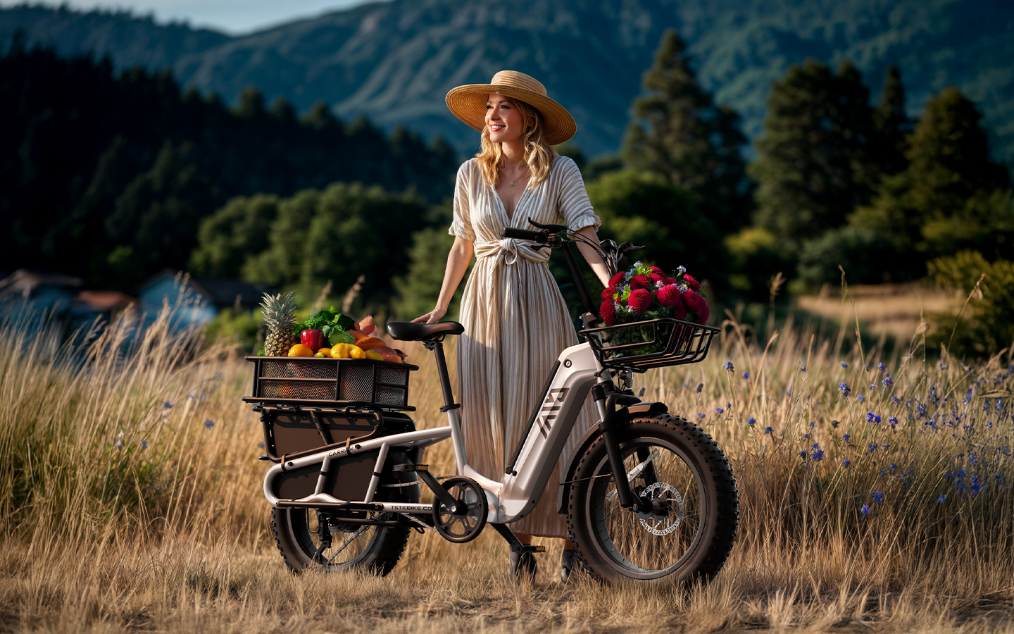 Hot Sale Carbon Steel Frame 7-Speed Double Lithium Battery 20 Inch Hydraulic Disc Brakes 48V/250W Rear Hub Motor Cargo Bike