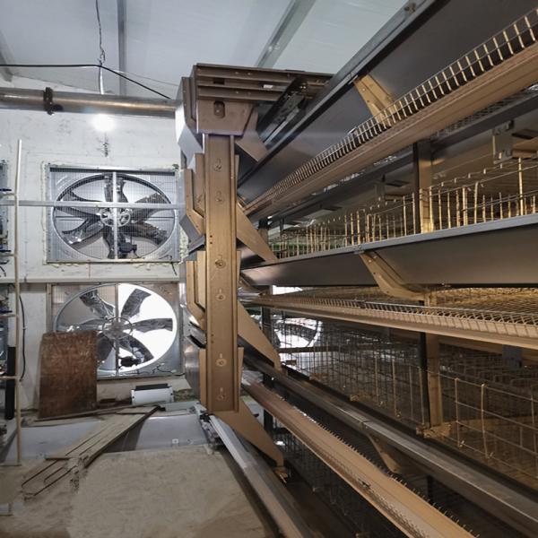 Poules pondeuses automatiques de ferme de couche d'oeufs de cages de poulet de batterie de volaille de type H 2mm