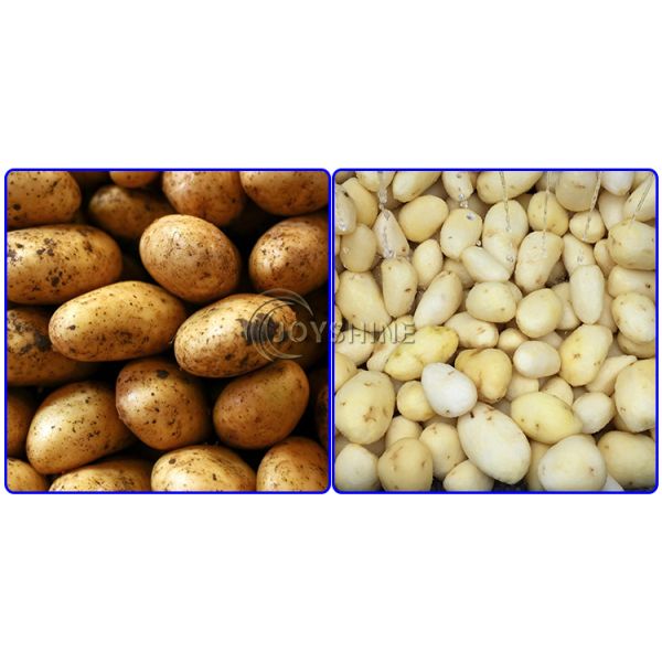 Yam Root Vegetable Carrot Cassava Peeling And Washing Machine Cleaning Polishing Snack Machinery