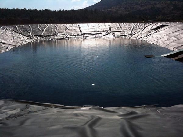 Industrial Design Style 2019 HDPE Geomembrane Liner for Indoor Shrimp Farming in Kenya
