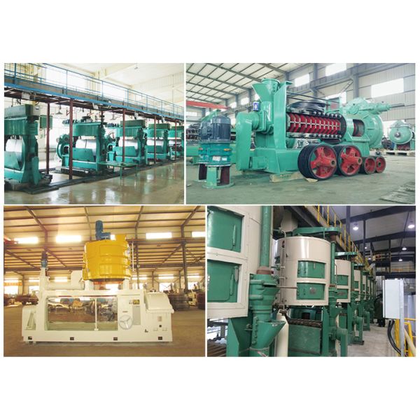 Automatic Grade Automatic Big Capacity Cotton Seed Oil Press Machine Castor Oil Mill Processing Machinery