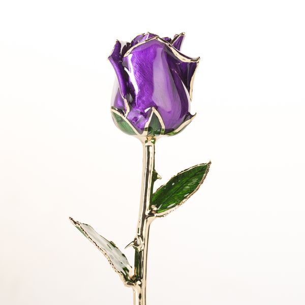 24k Gold Trimmed Rose Fresh Preserved Flower Gold Plated Natural Rose Handmade Preserved Rose