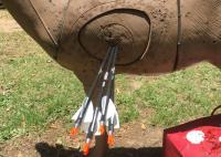 3d Target, Indoor Archery, Light Weight 19/64