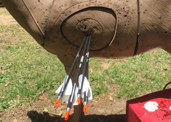 3d alvo, tiro ao arco interno, peso leve 19/64 retidão .001-.003 da espinha 300/350/400/500/600 setas do carbono da explosão