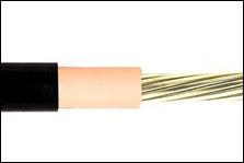 XLPE Insulated PVC Sheath Cu 0.6/1kv LV Power Cable
