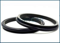 CA1M8748 1M-8748 1M8748 Seal Group Floating Seals Fits C-A-T Tractor D9G