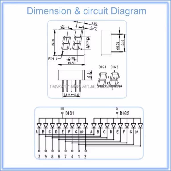 0.3 Inch 2 digit LED Seven Segment Display
