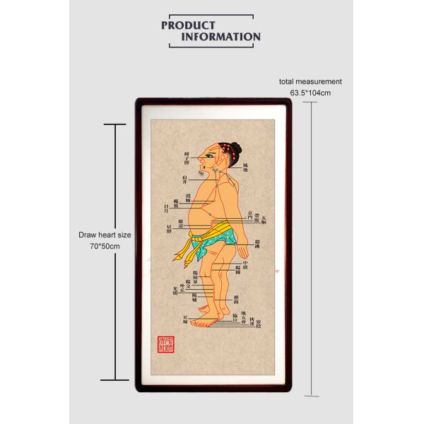 Стеклянный набор экрана зеркала меридианов офиса 14 диаграммы стены иглоукалывания украшения 65x95cm