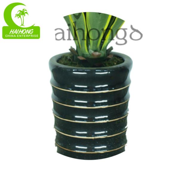 Planta suculento artificial estética de H60cm para a decoração da casa
