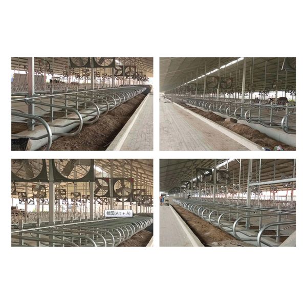 амбар стойла 200cm свободный гальванизированный вокруг трубки и трубы Stell для коровы