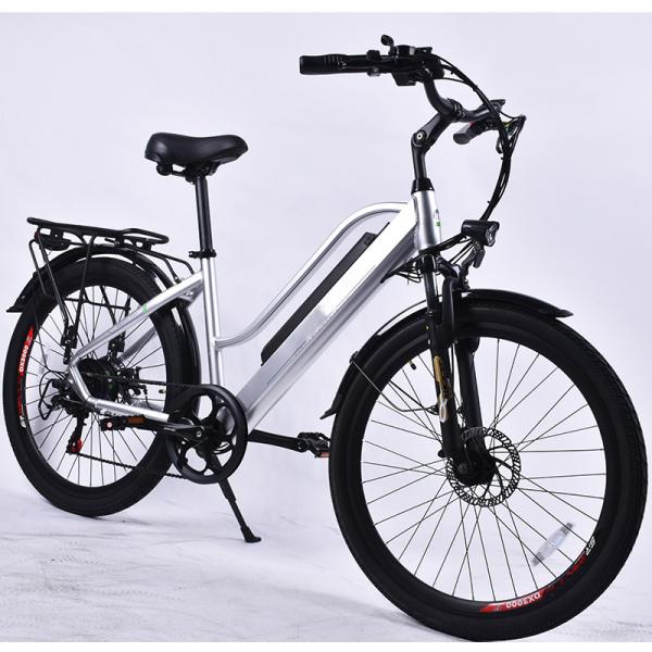 30KG E City Folding Electric Bike 250W With 8000mAh Lithium Battery